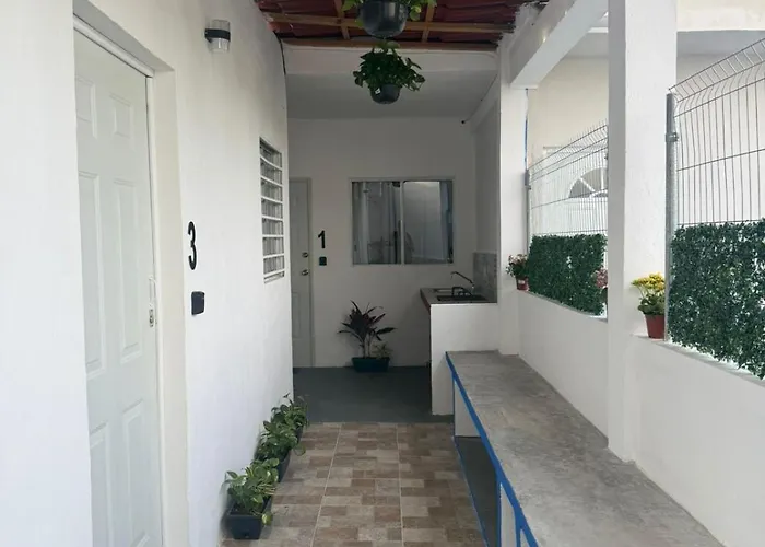 Lote Once